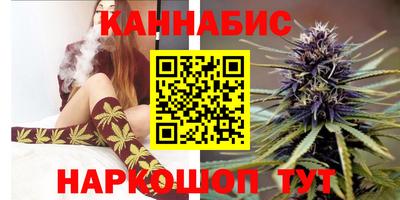 трава Новодвинск