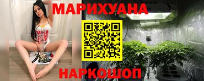 тгк Новозыбков