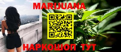 тгк Новозыбков