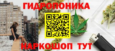 тгк Новозыбков