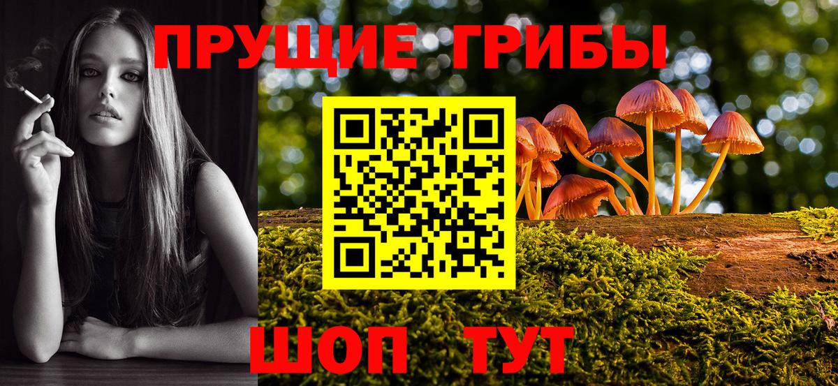 Псилоцибиновые грибы GOLDEN TEACHER  Псилоцибиновые грибы Magic Shrooms  Ставрополь  Вход с VPN 