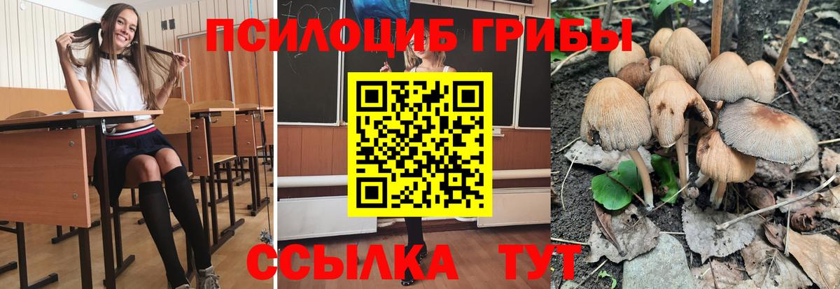Галлюциногенные грибы прущие грибы Ставрополь